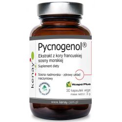 Pycnogenol® Ekstrakt z kory francuskiej sosny nadmorskiej, 30 kaps.