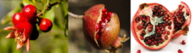 Granatapfelblütenextrakt: Verhindern des metabolischen Syndroms