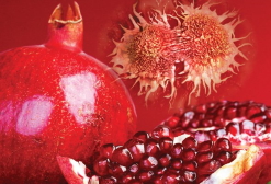 Granatapfelblütenextrakt: Verhindern des metabolischen Syndroms