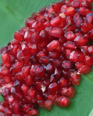 Pomegranate Seed Oil: A Potent Cancer Fighter