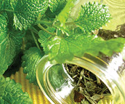 Lemon balm - Natural Stress and Anxiety Relief