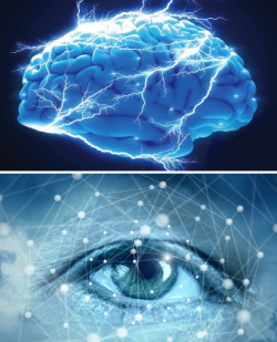 Połączenie oko-mózg