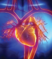 Reduce Your Cardiac Risk Factors