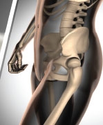 The Link Between Bone Health and Total Health