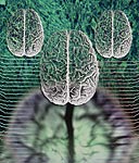 GPC Benefits Brain Health