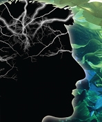 Phosphatidylserin unterstützt gesunde Gehirnzellmembranen