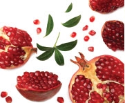 Pomegranate Favorably Modulates Gene Expression