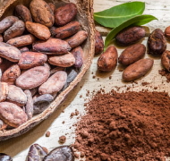 Kakao naturalny przeciwutleniacz, który zachowuje zdrowie sercowo-naczyniowe