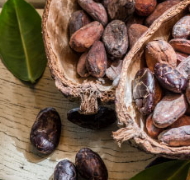 Kakao naturalny przeciwutleniacz, który zachowuje zdrowie sercowo-naczyniowe