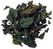 The Complementary Power of Nettle Root