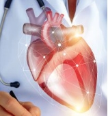 Vitamin K2 Protects Against Coronary Heart Disease
