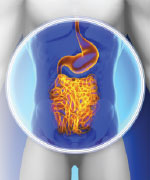 Probiotiques offrent une protection vitale contre les maladies chroniques_01